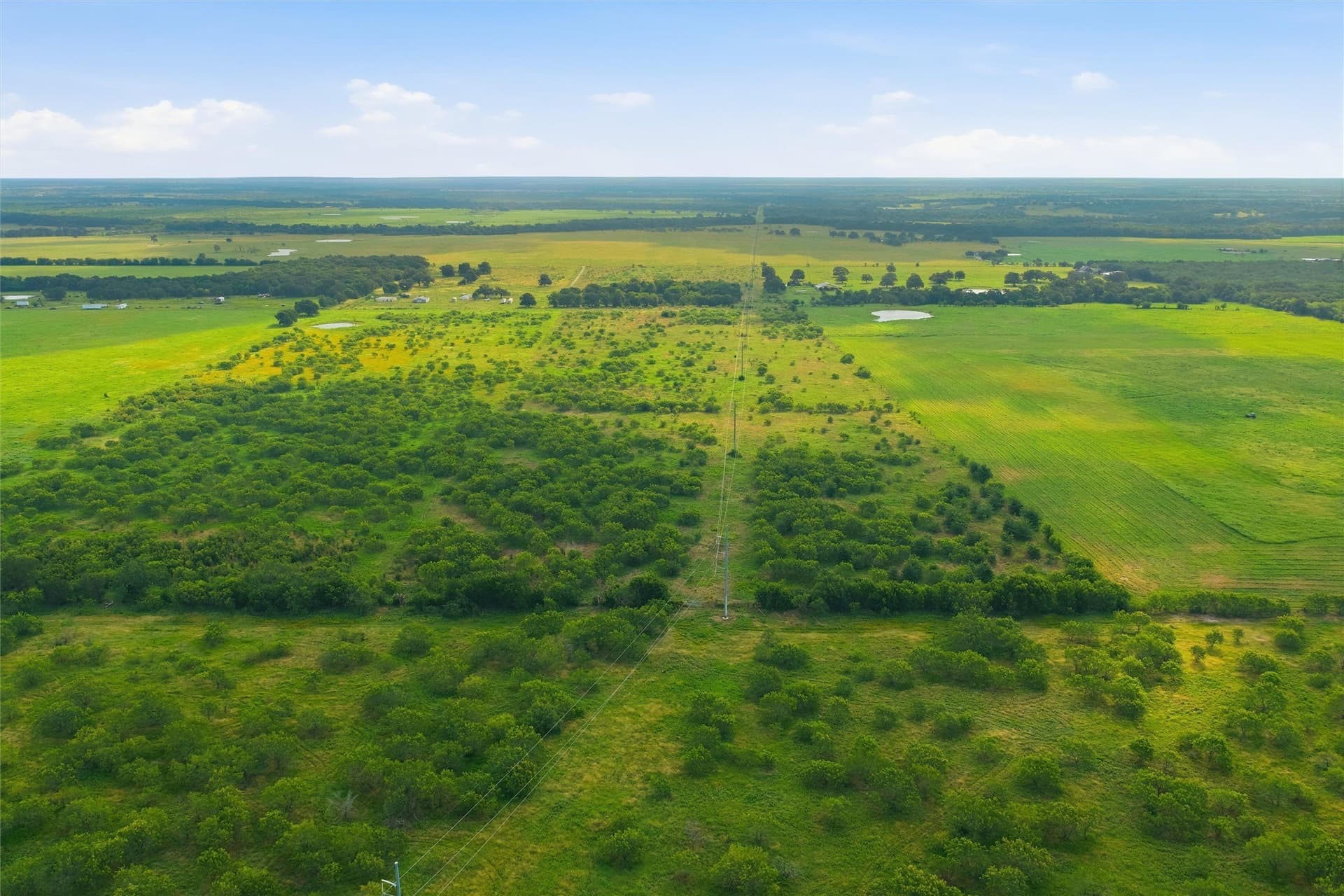 49.75 acres in Limestone County - photo 18