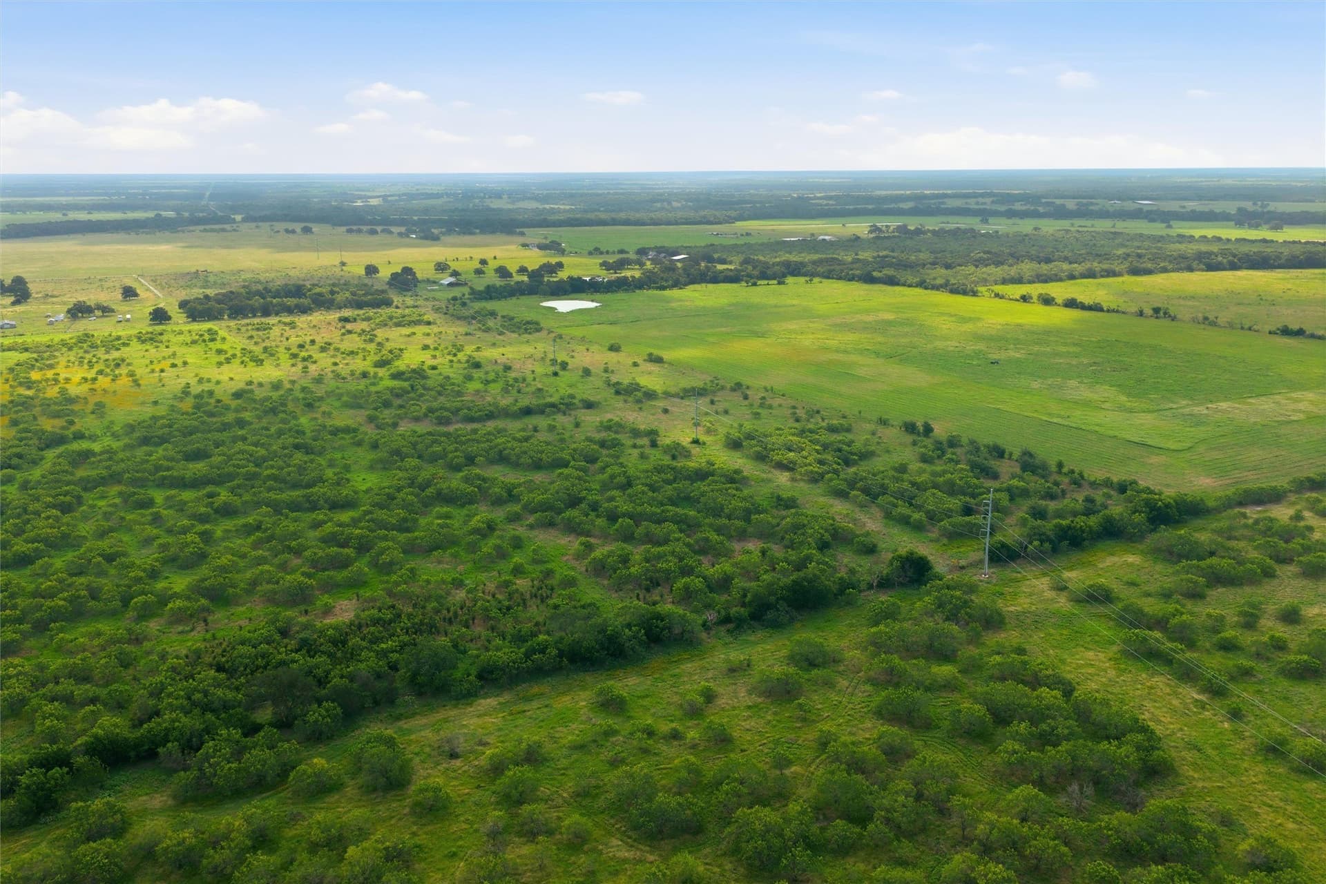 49.75 acres in Limestone County - photo 19