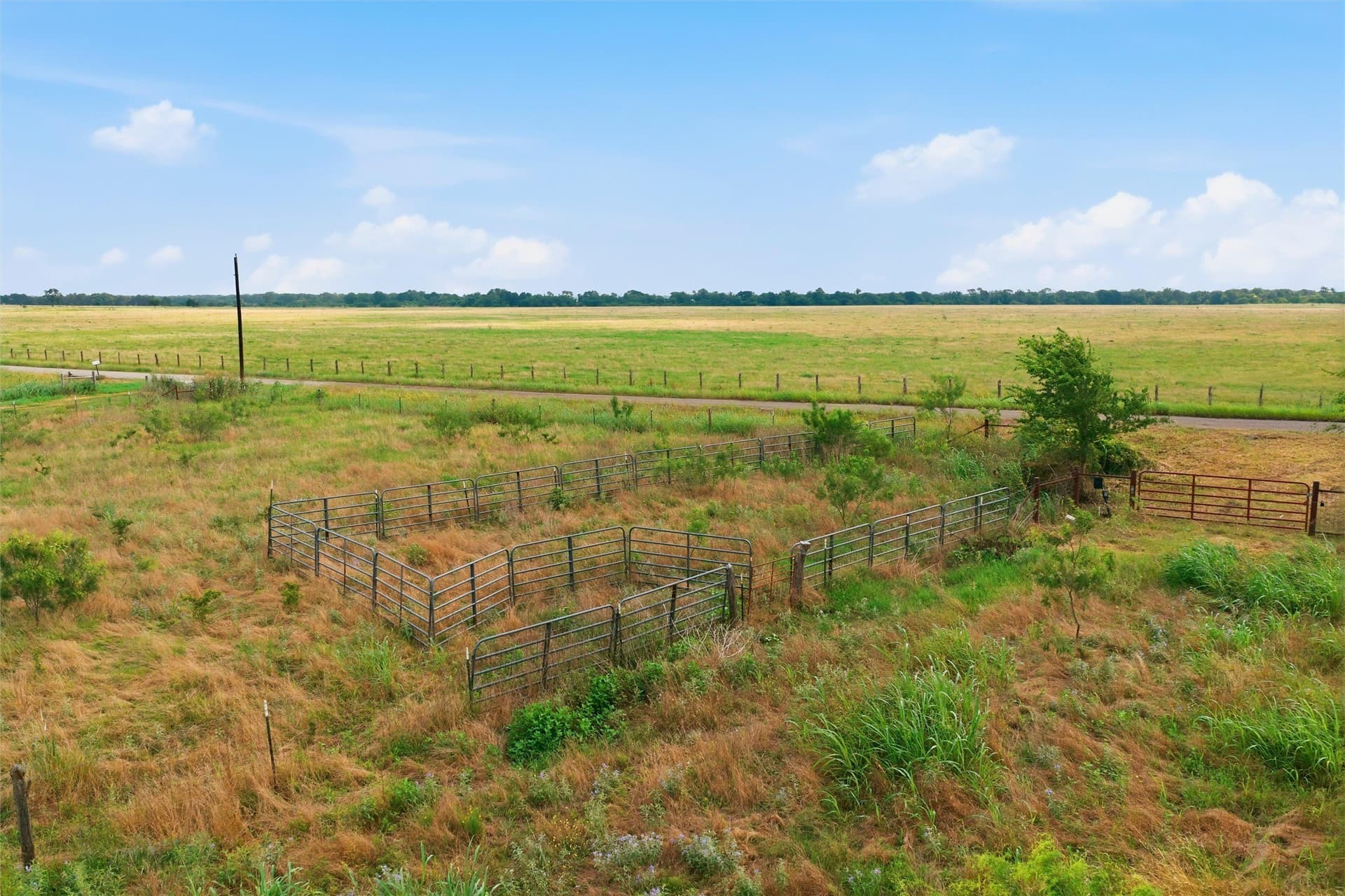 49.75 acres in Limestone County - photo 11