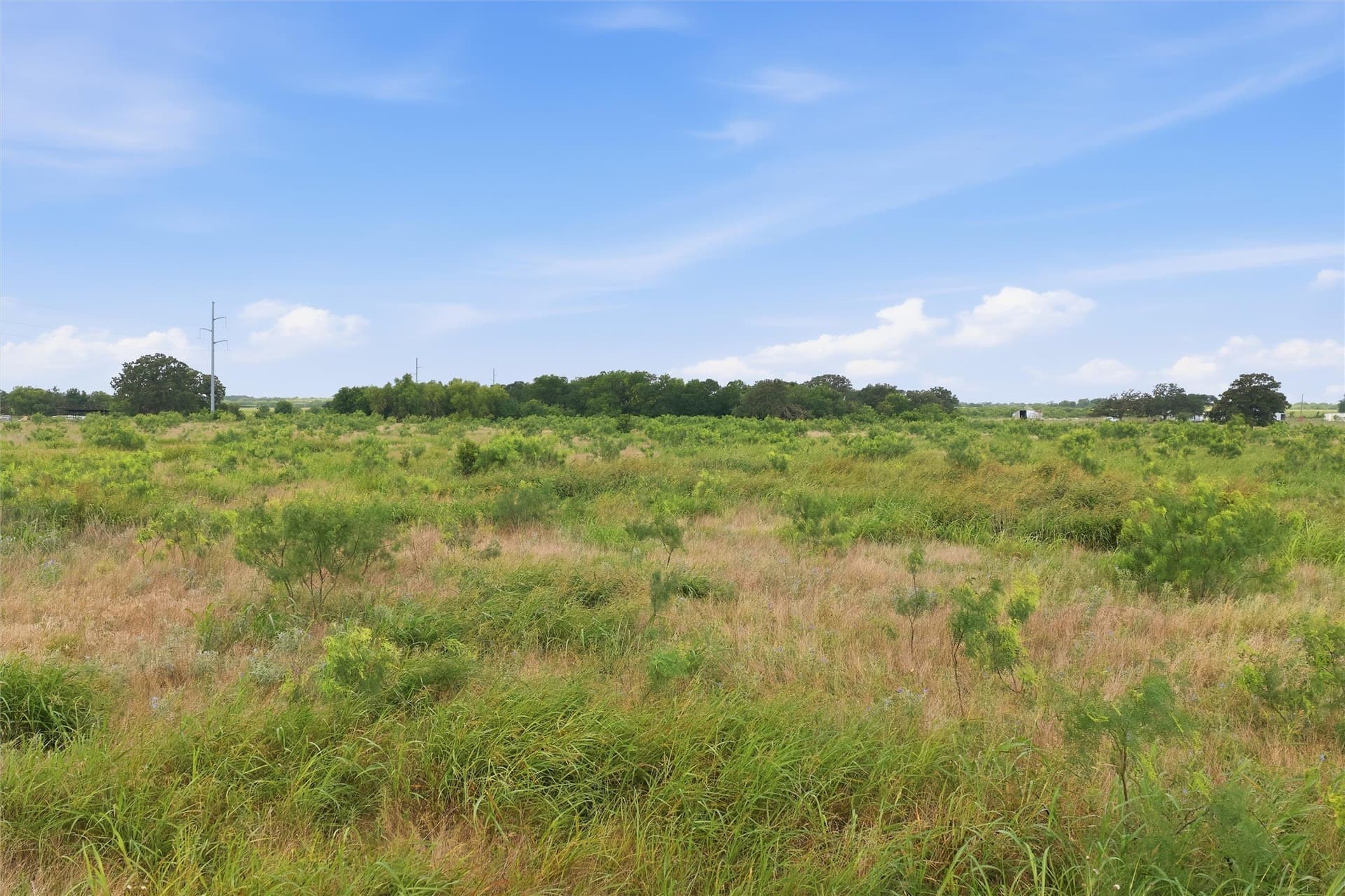 49.75 acres in Limestone County - photo 5
