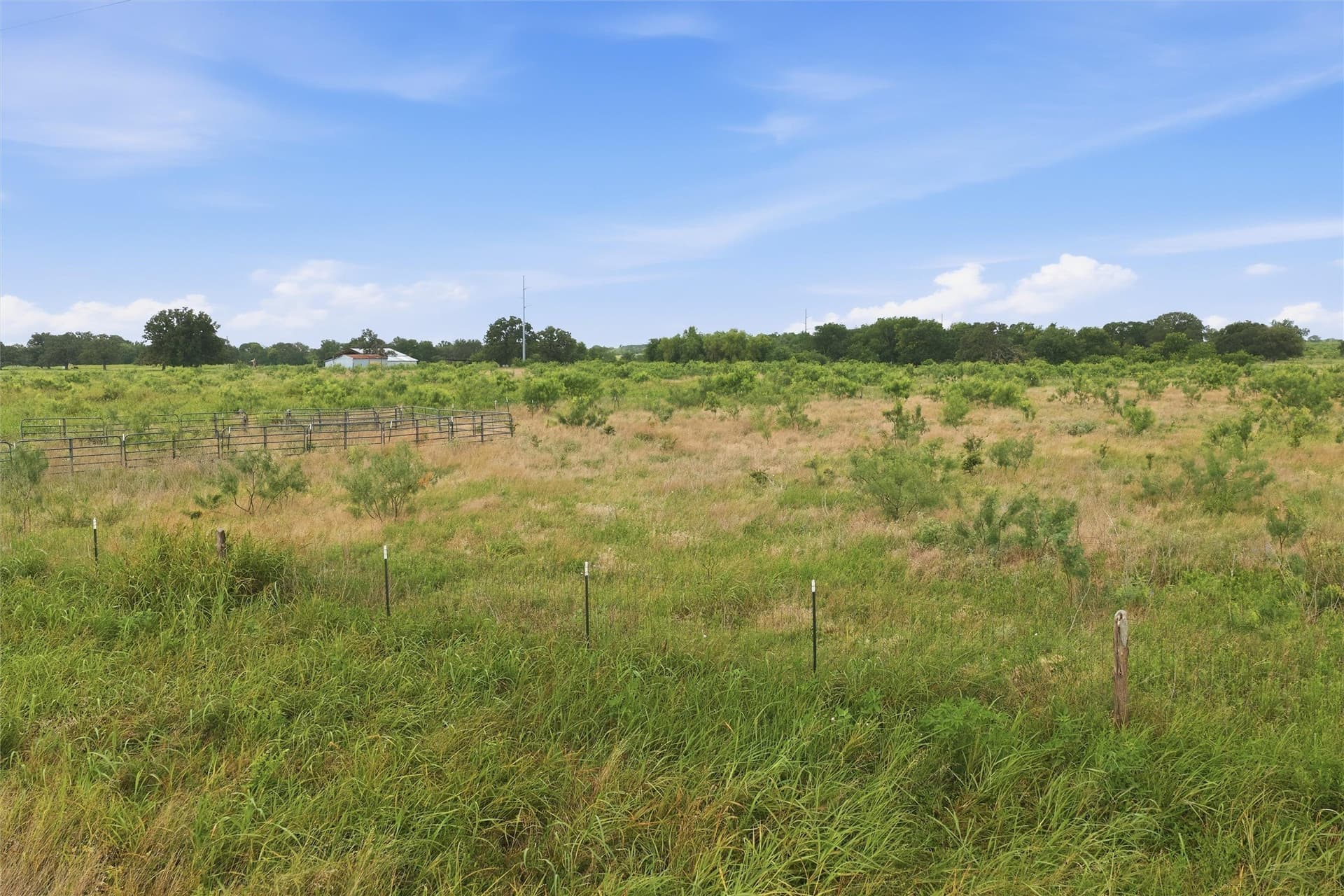 49.75 acres in Limestone County - photo 9