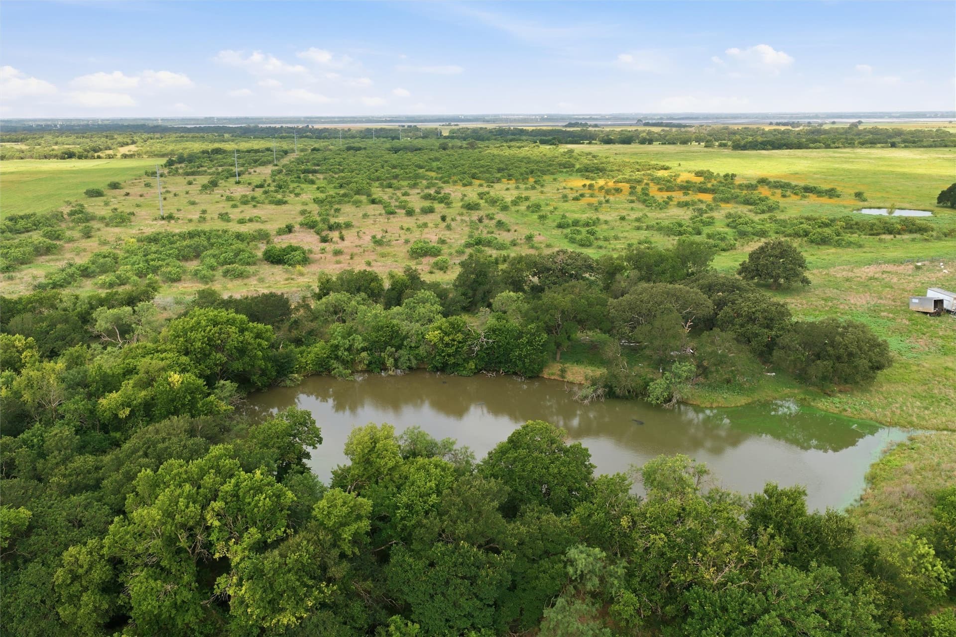 49.75 acres in Limestone County - photo 16