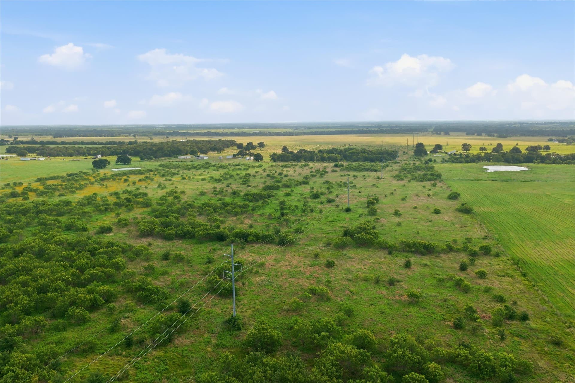 49.75 acres in Limestone County - photo 4
