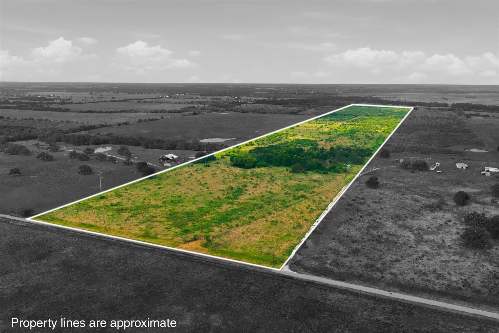 49.75 acres in Limestone County - photo 20