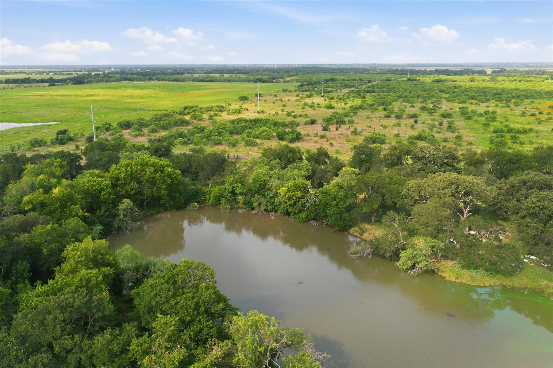 49.75 acres in Limestone County - photo 2