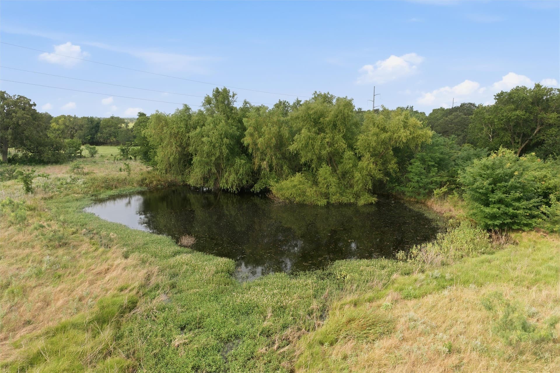 49.75 acres in Limestone County - photo 3