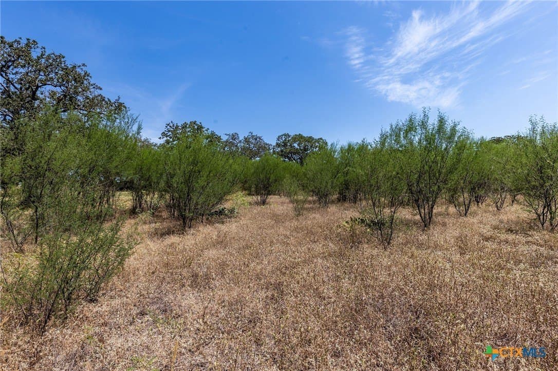 10.36 acres in Guadalupe County - photo 12