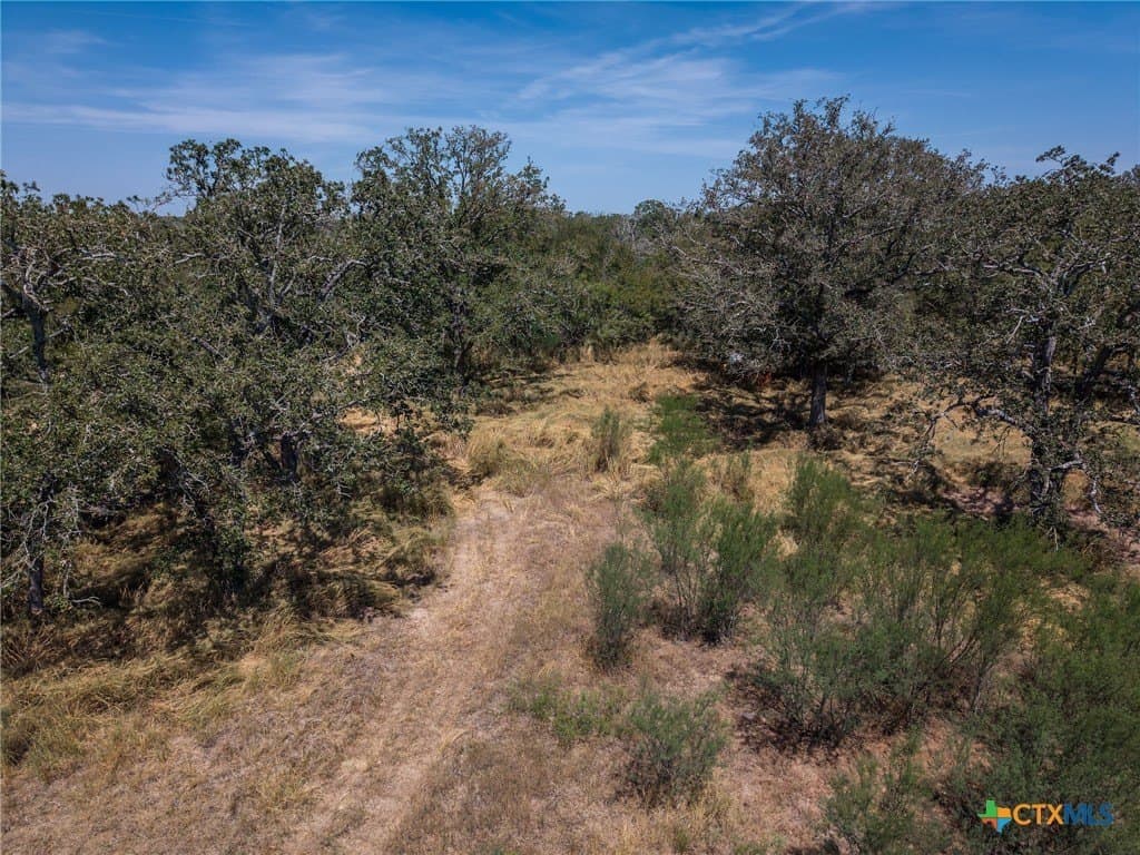 10.36 acres in Guadalupe County - photo 9
