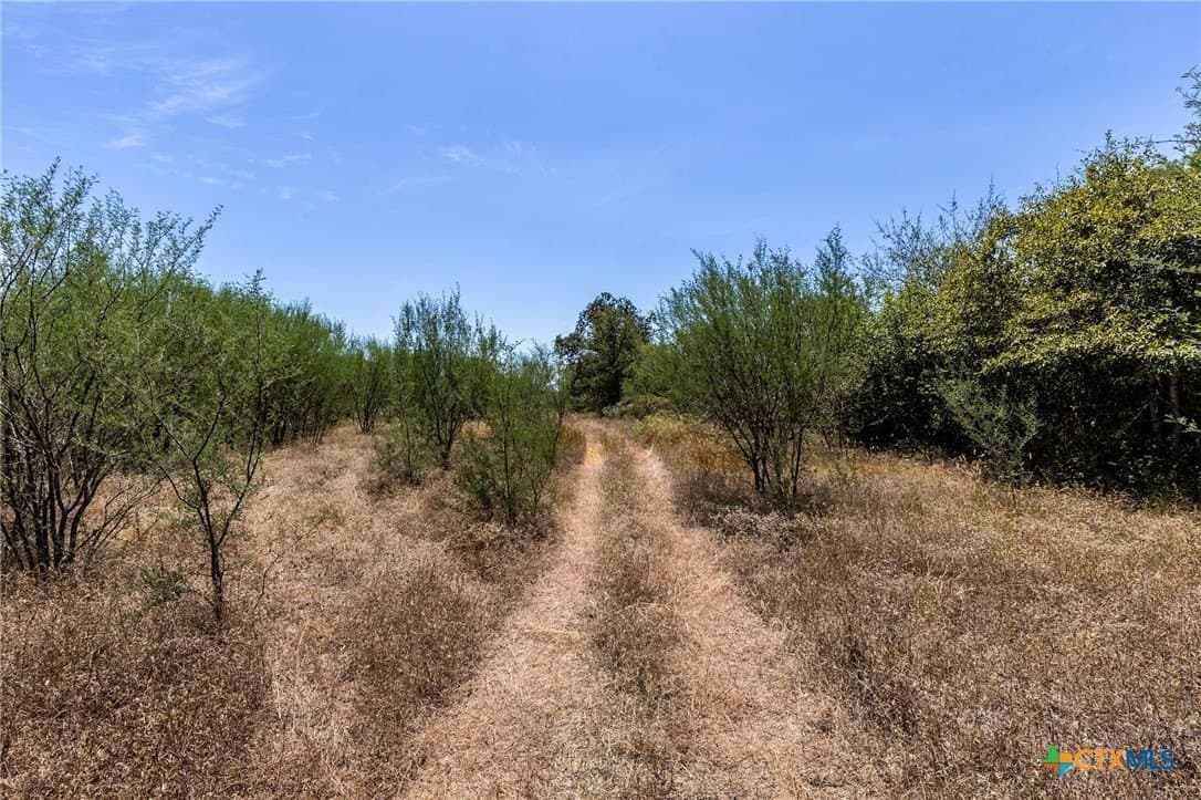 10.36 acres in Guadalupe County - photo 13