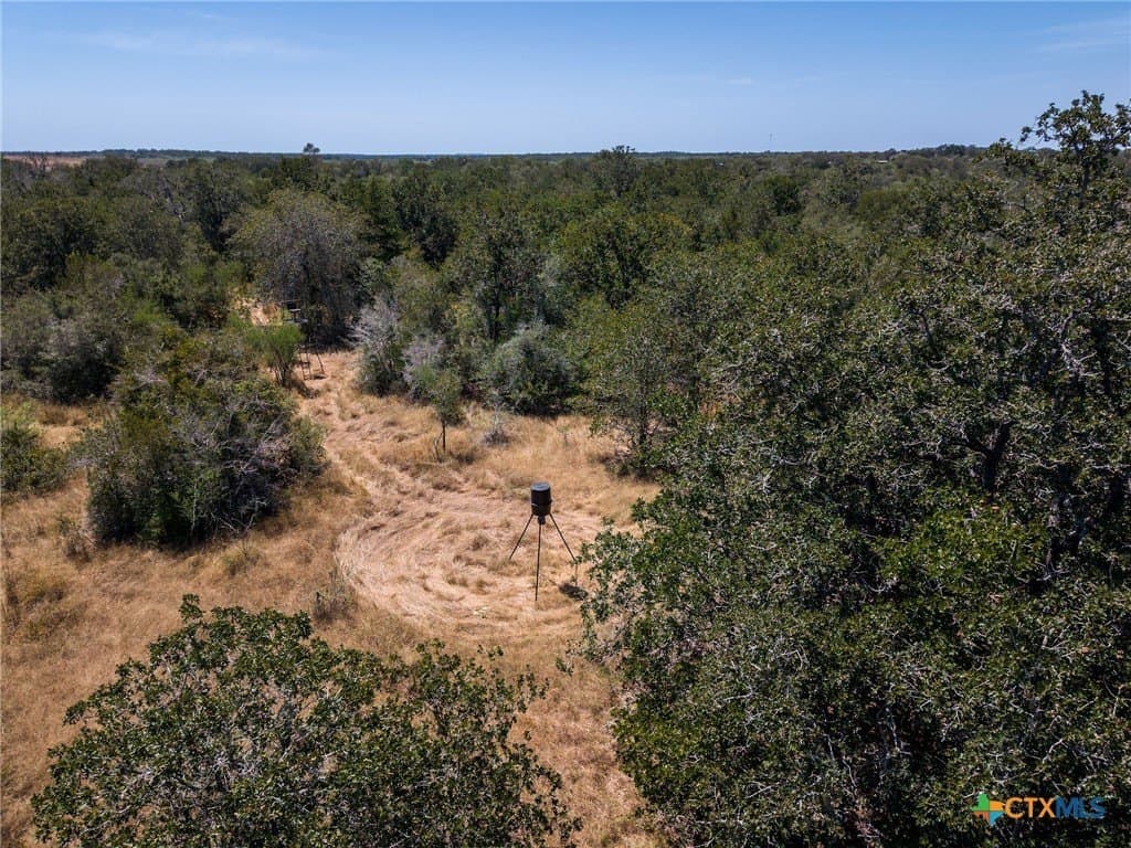 10.36 acres in Guadalupe County - photo 10