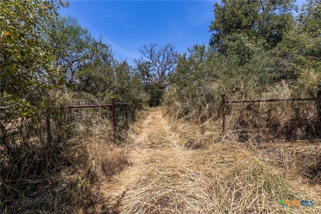 10.36 acres in Guadalupe County - photo 11