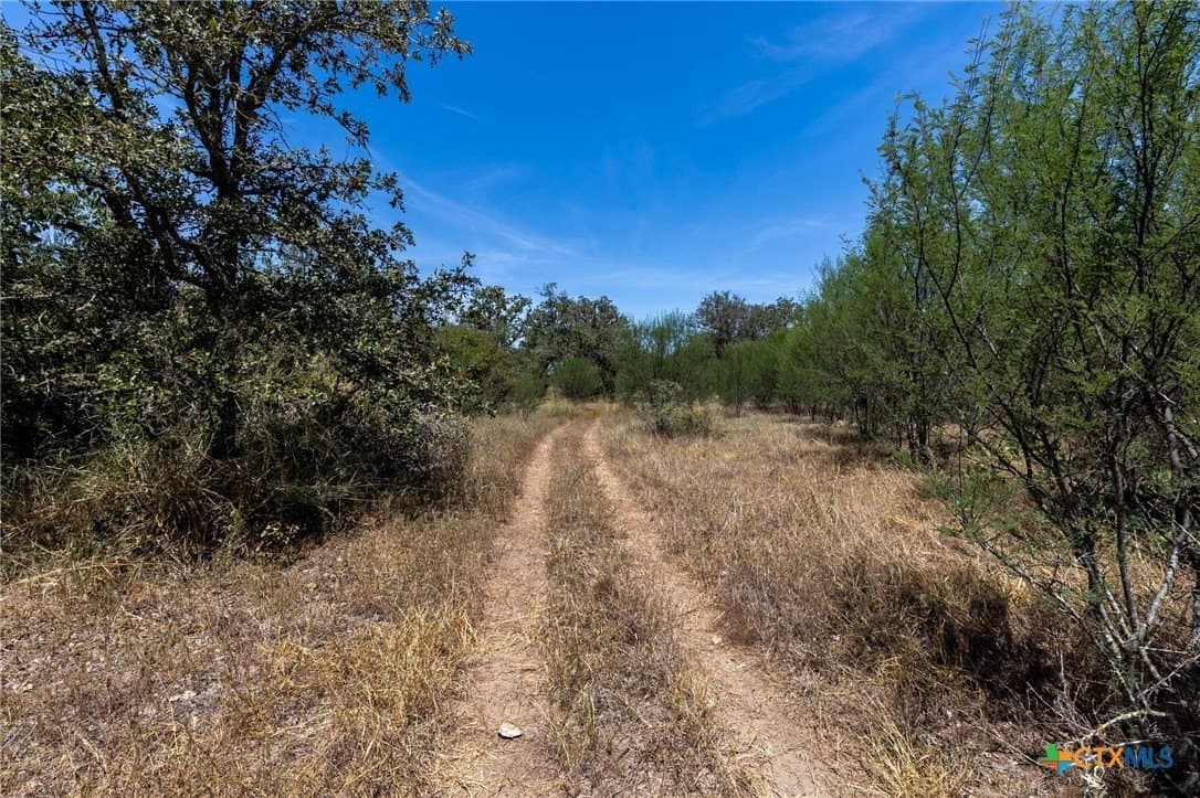 10.36 acres in Guadalupe County - photo 3