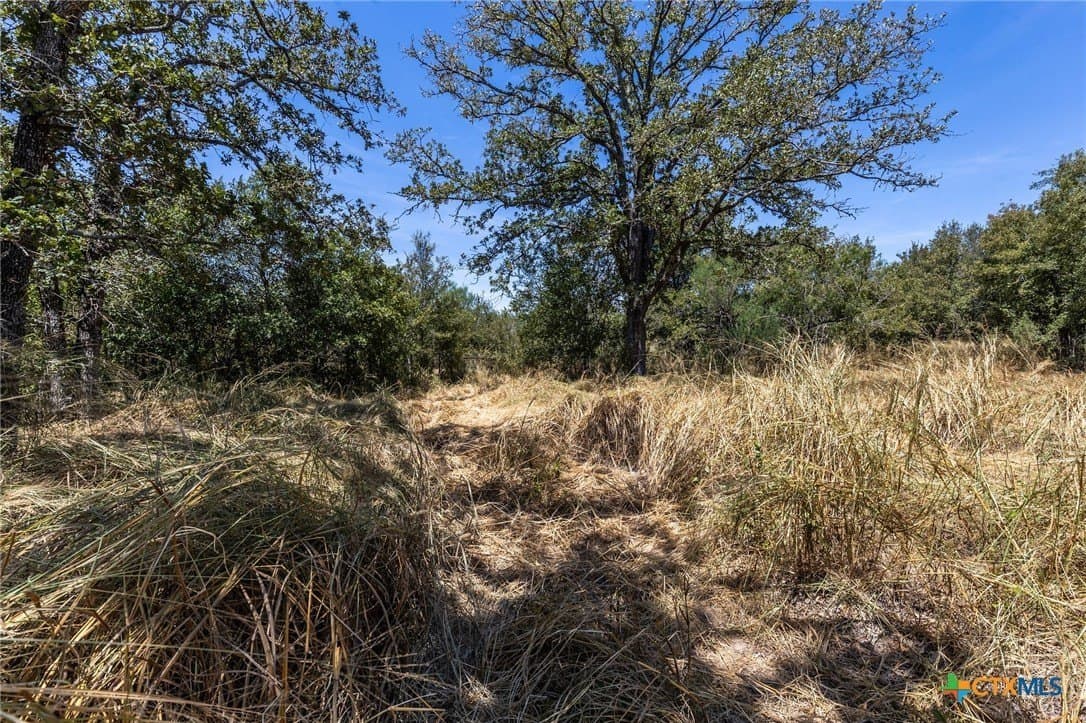 10.36 acres in Guadalupe County