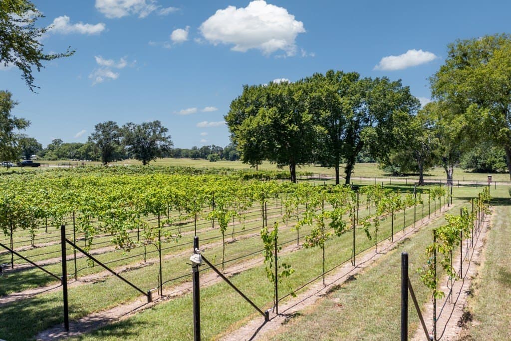 20.54 acres in Van Zandt County - photo 6