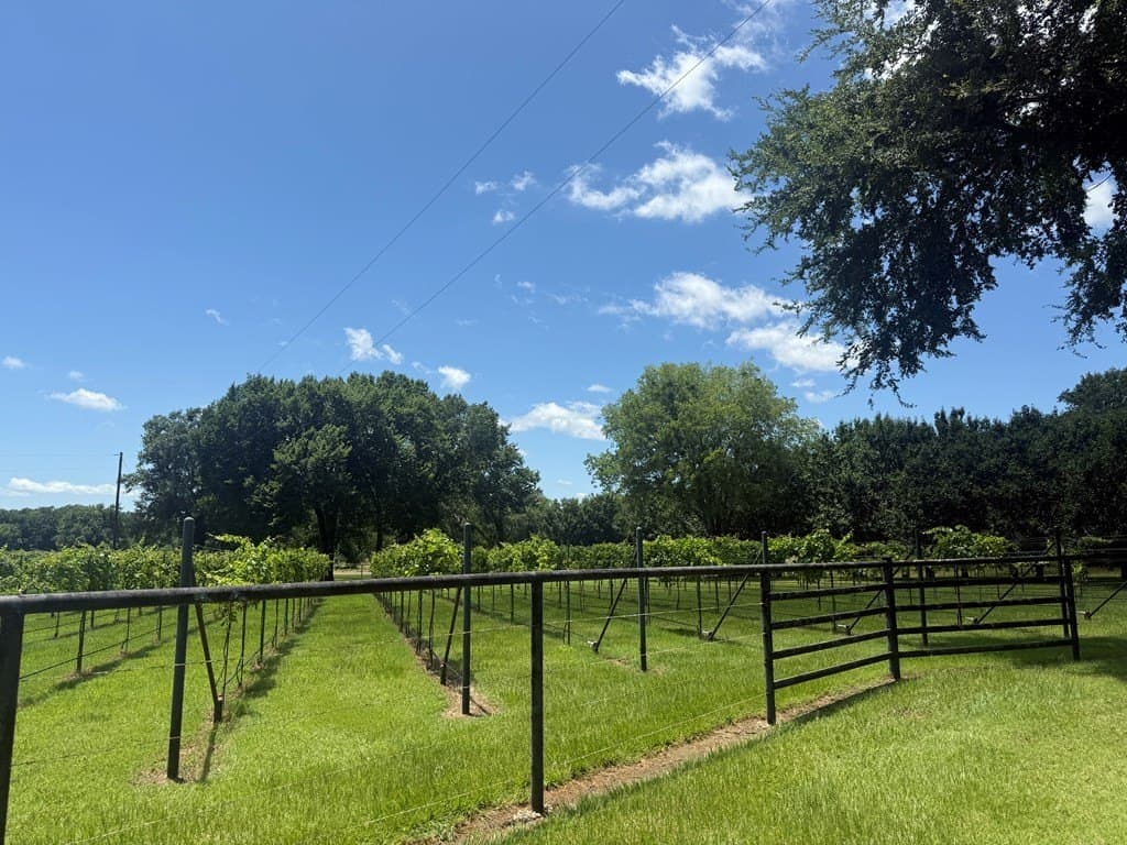 20.54 acres in Van Zandt County - photo 67