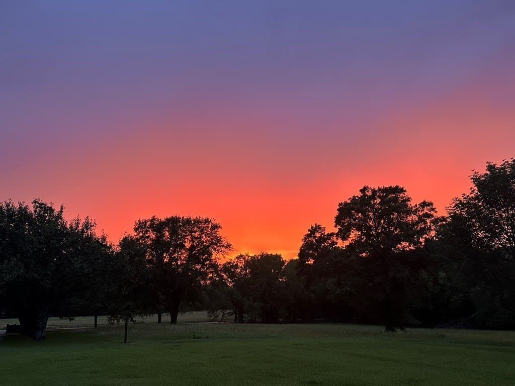 20.54 acres in Van Zandt County - photo 79