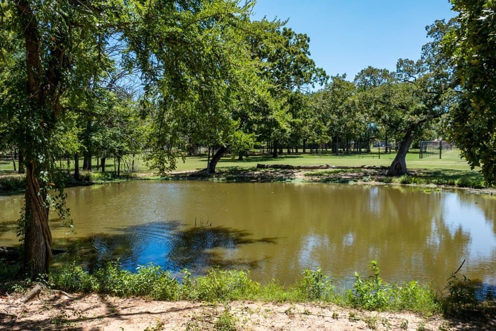 20.54 acres in Van Zandt County - photo 76