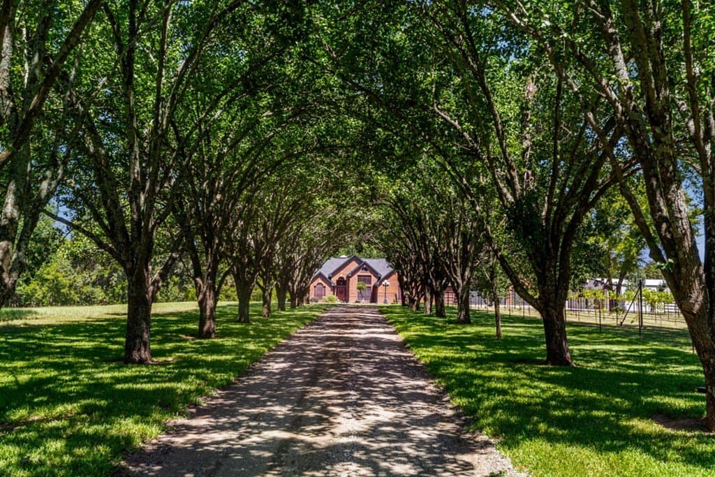 20.54 acres in Van Zandt County featured view