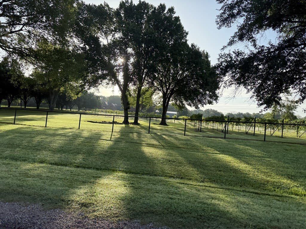 20.54 acres in Van Zandt County - photo 65