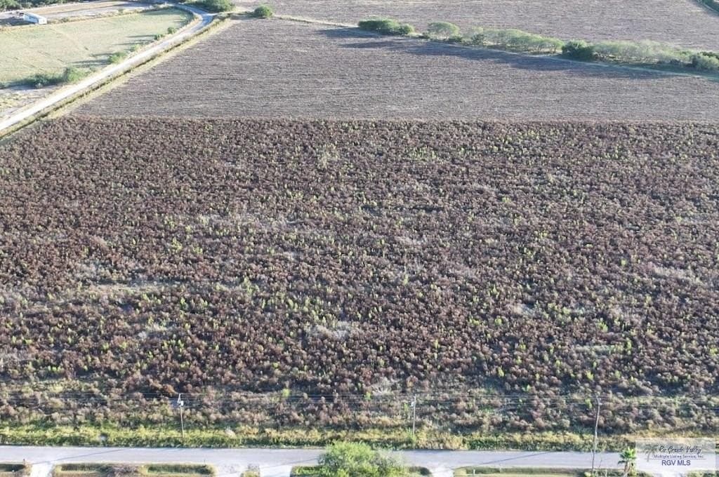 10.04 acres in CAMERON County gallery image 4