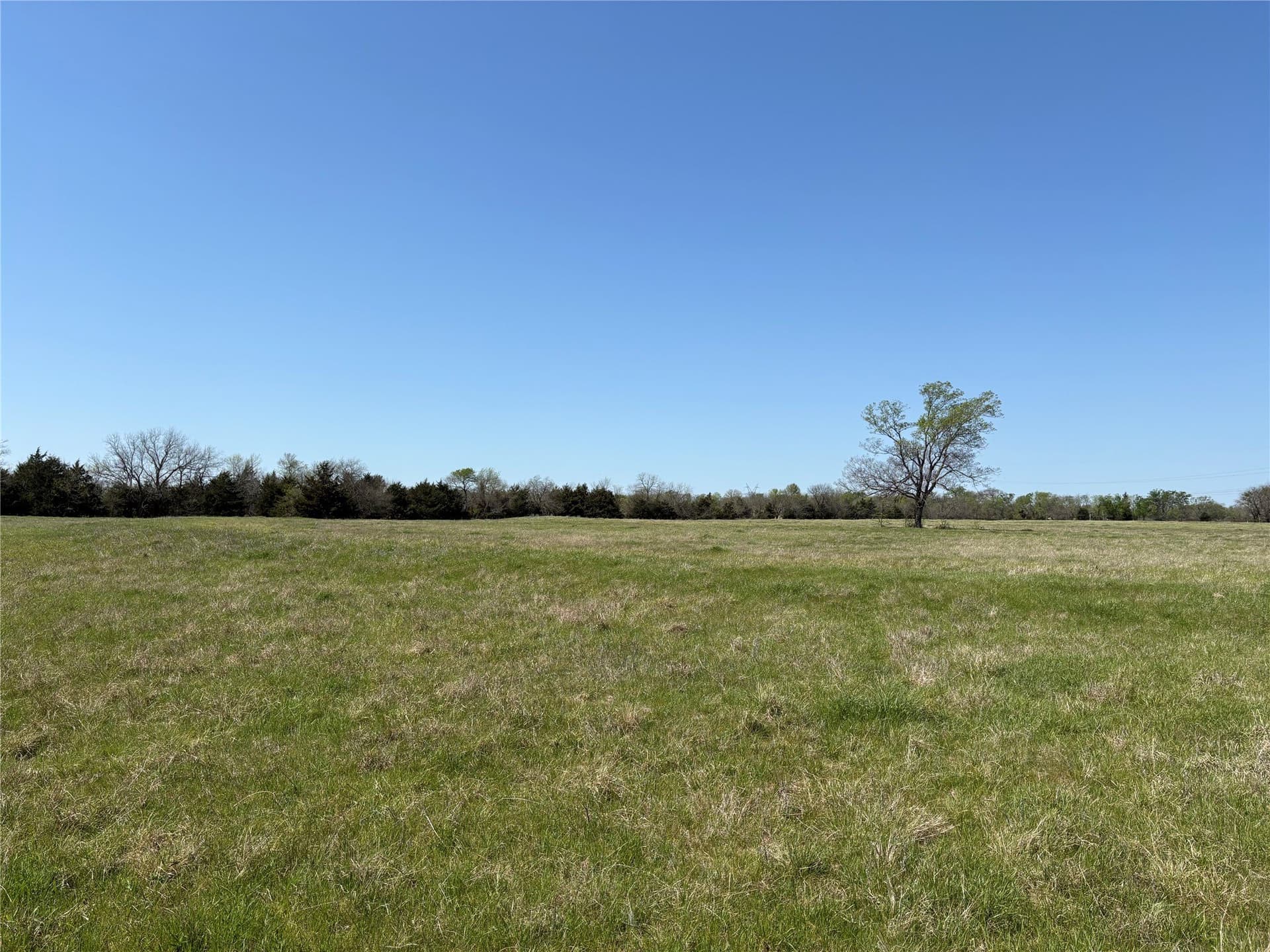 14 acres in Hopkins County gallery image 2