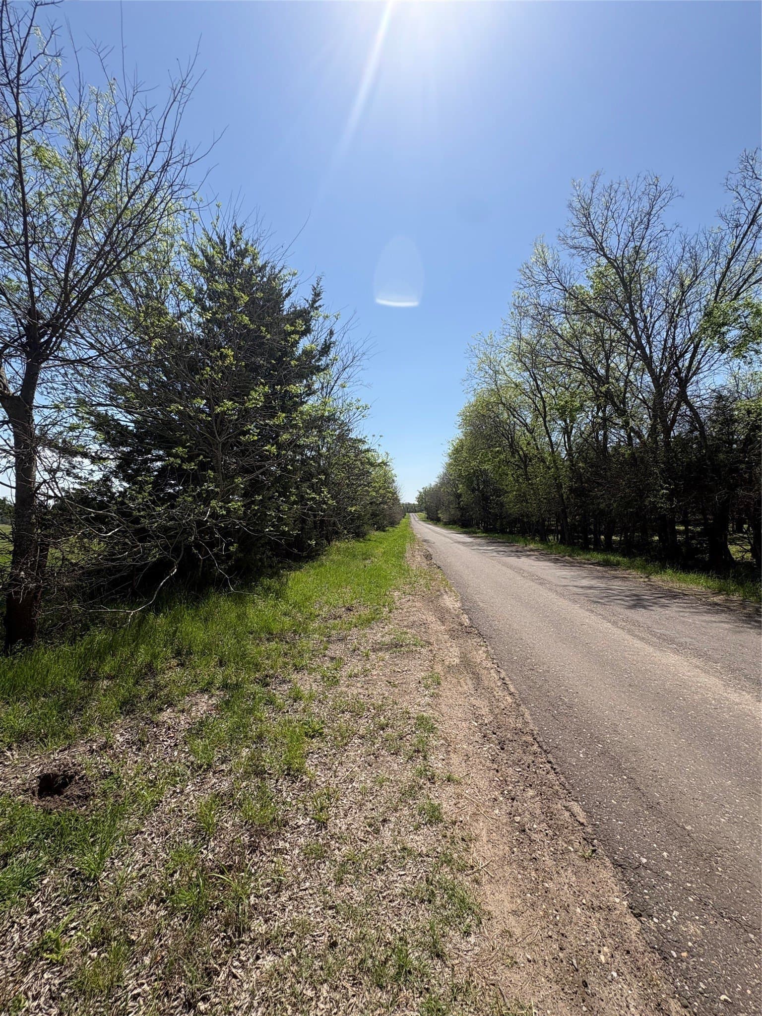 14 acres in Hopkins County gallery image 4