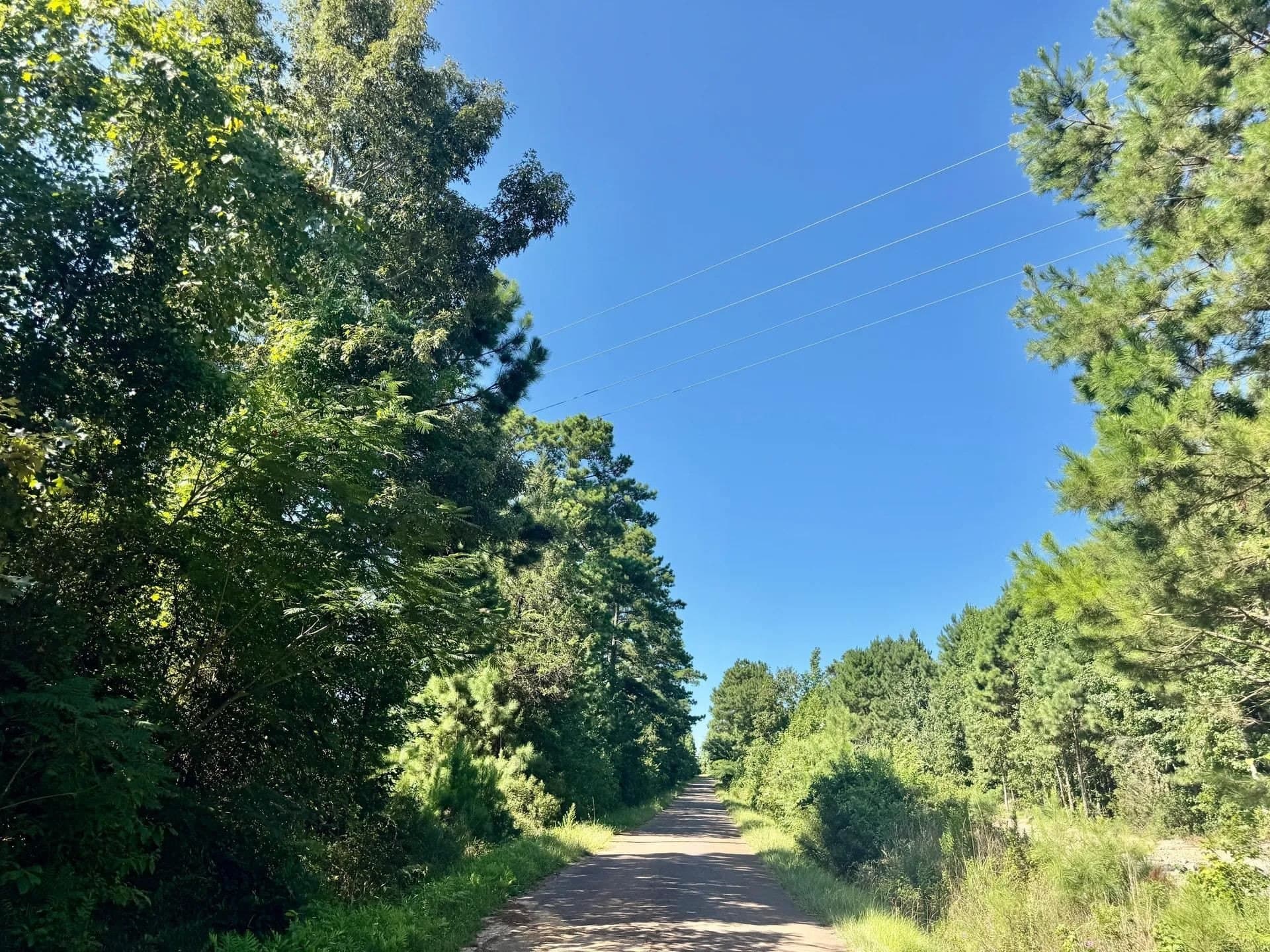 33.24 acres in Cass County - photo 33