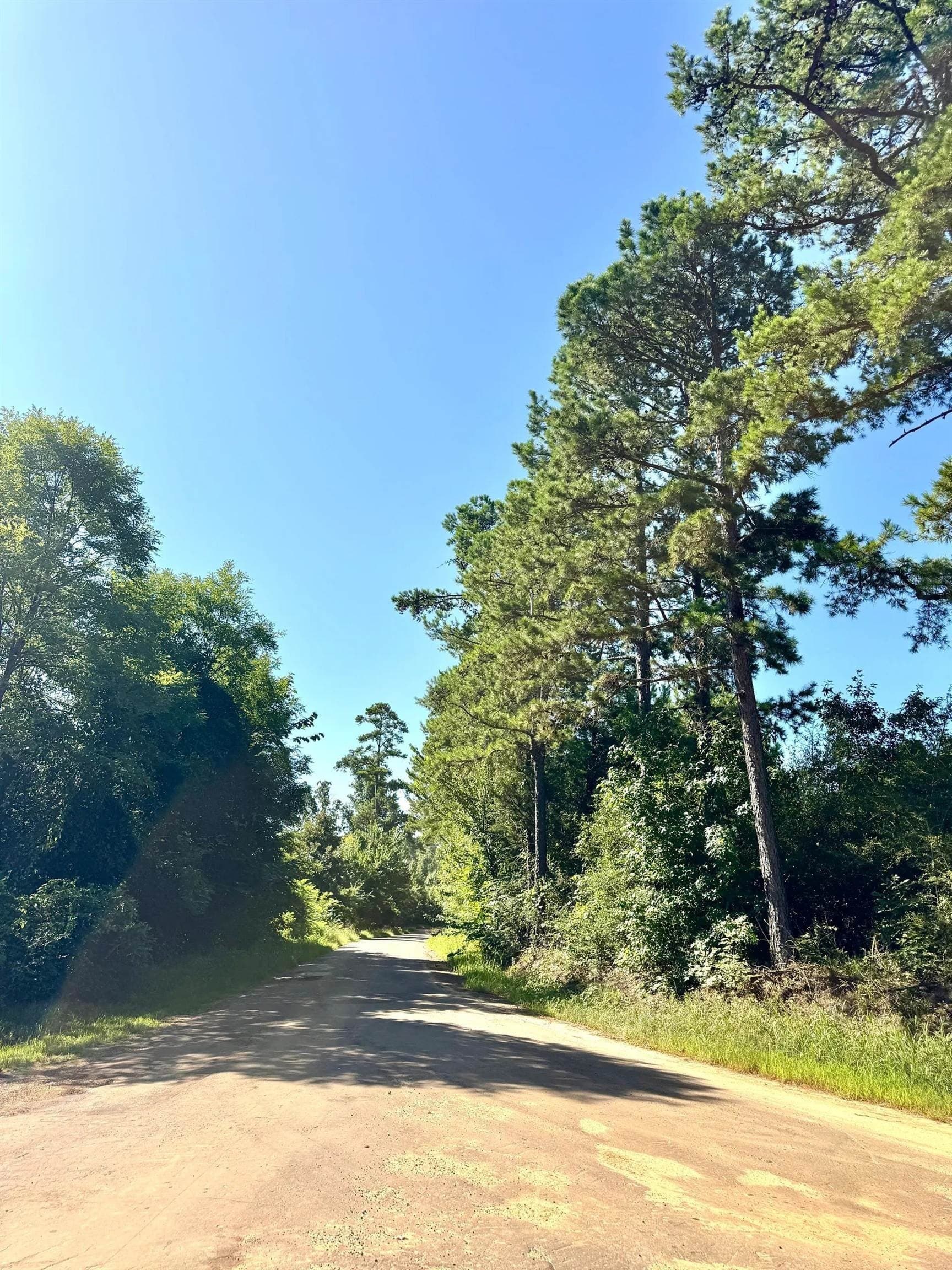 33.24 acres in Cass County - photo 13