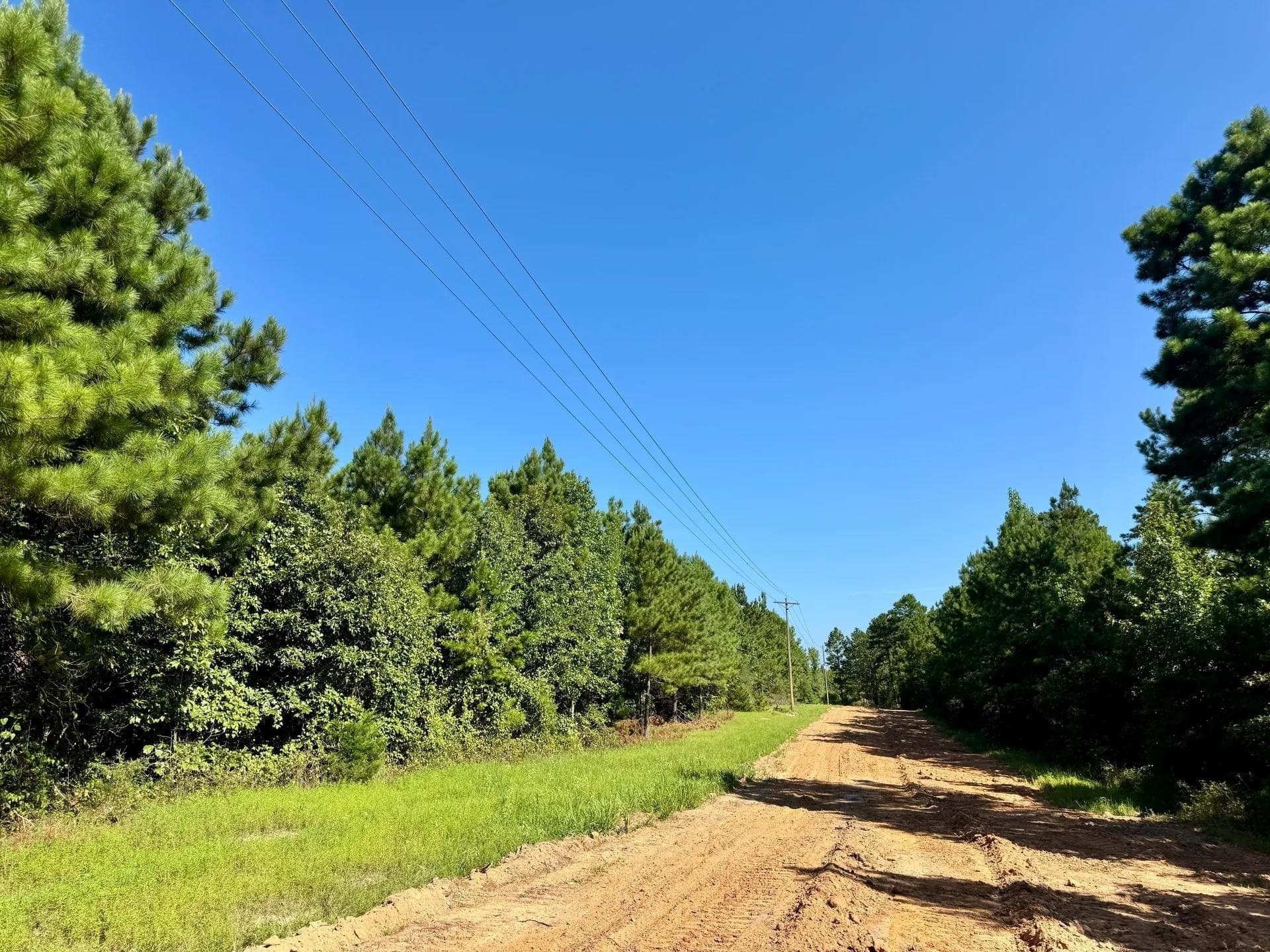 33.24 acres in Cass County - photo 14