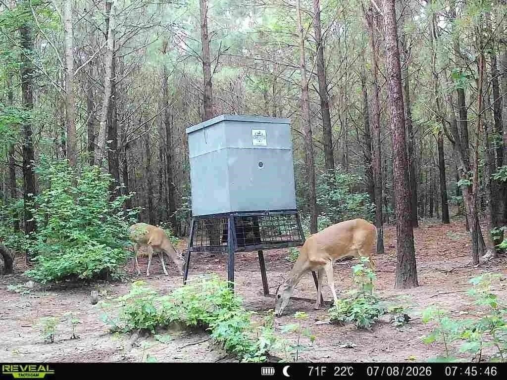 33.24 acres in Cass County - photo 7