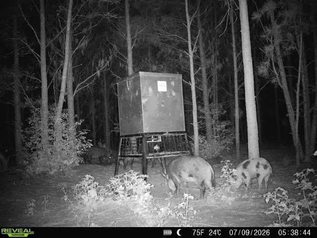 33.24 acres in Cass County - photo 6