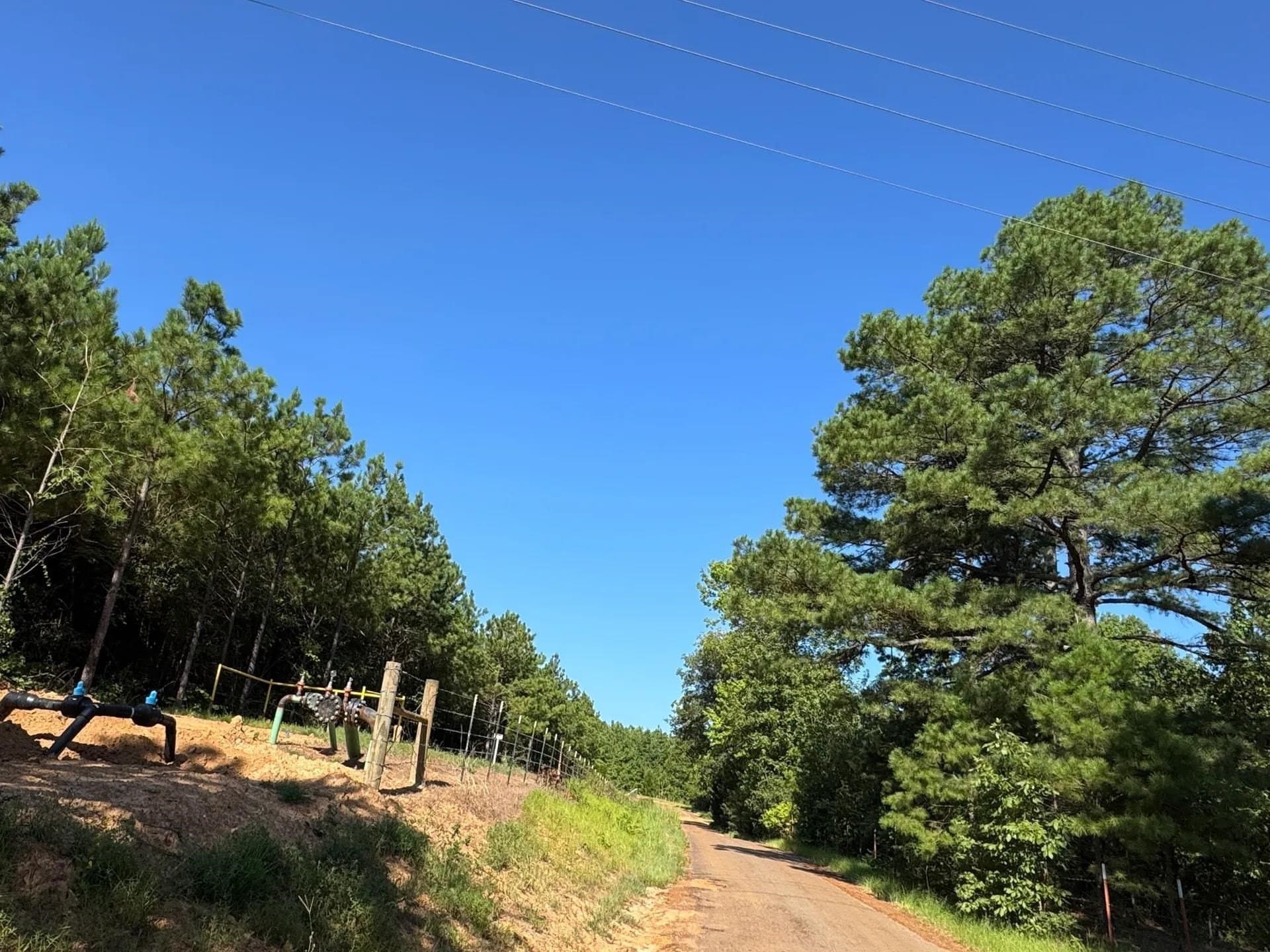 33.24 acres in Cass County - photo 12