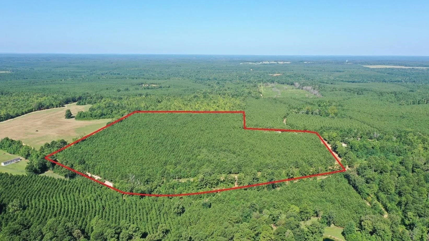 33.24 acres in Cass County