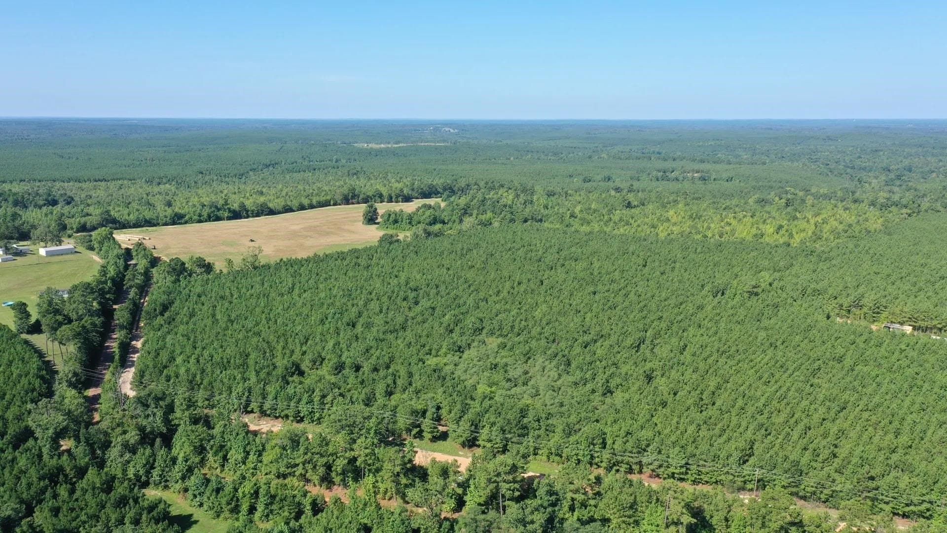 33.24 acres in Cass County - photo 5