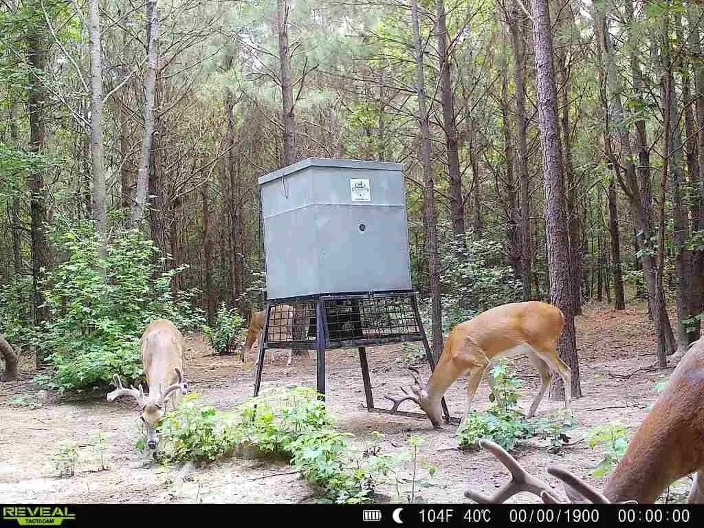 33.24 acres in Cass County - photo 8