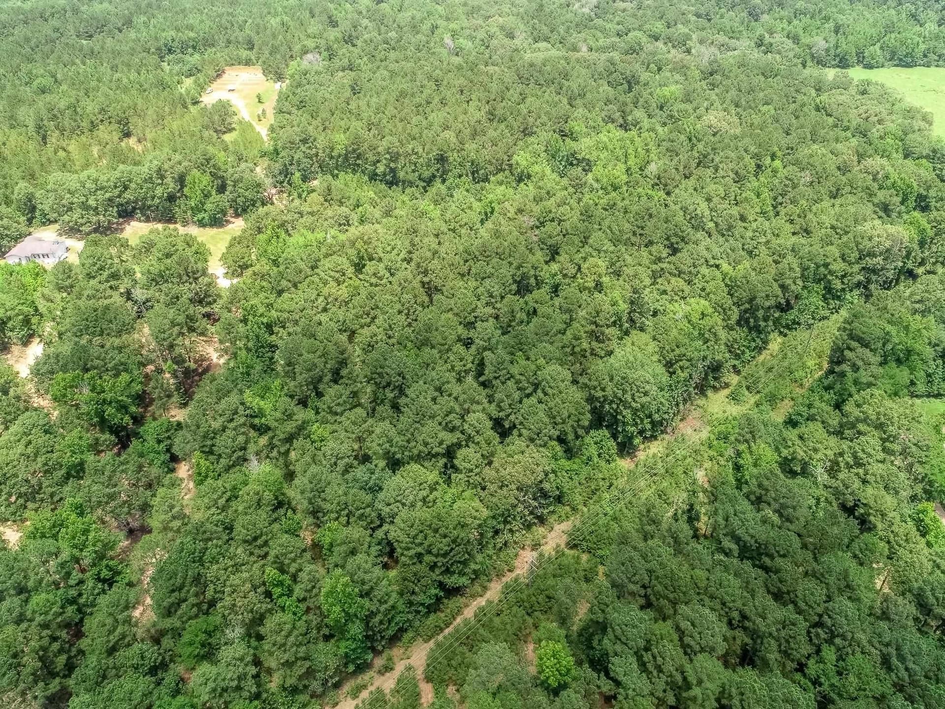 8.5 acres in Marion County - photo 3