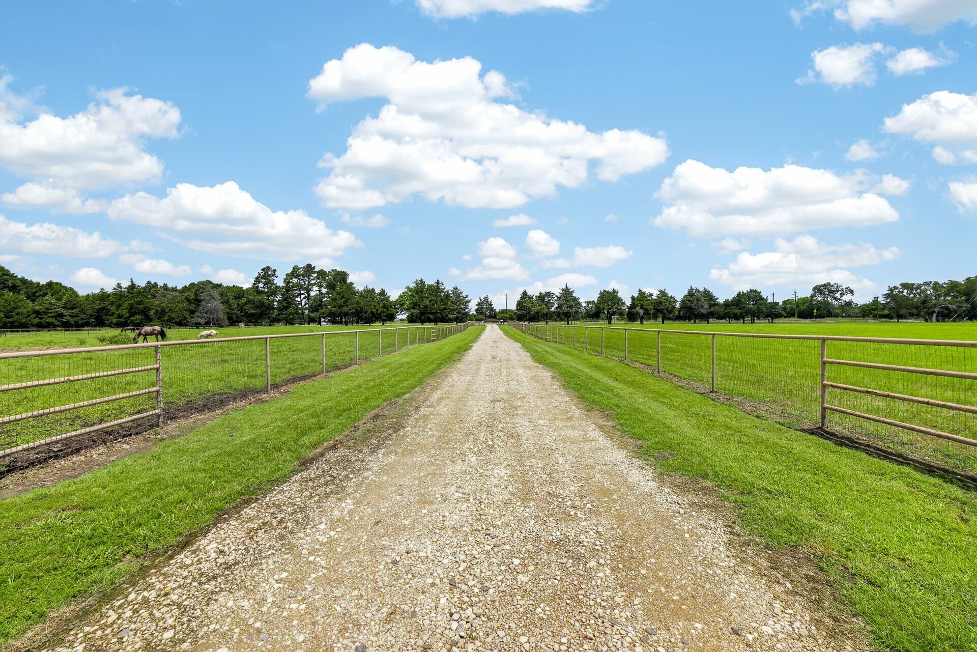 10.53 acres in Hunt County gallery image 2