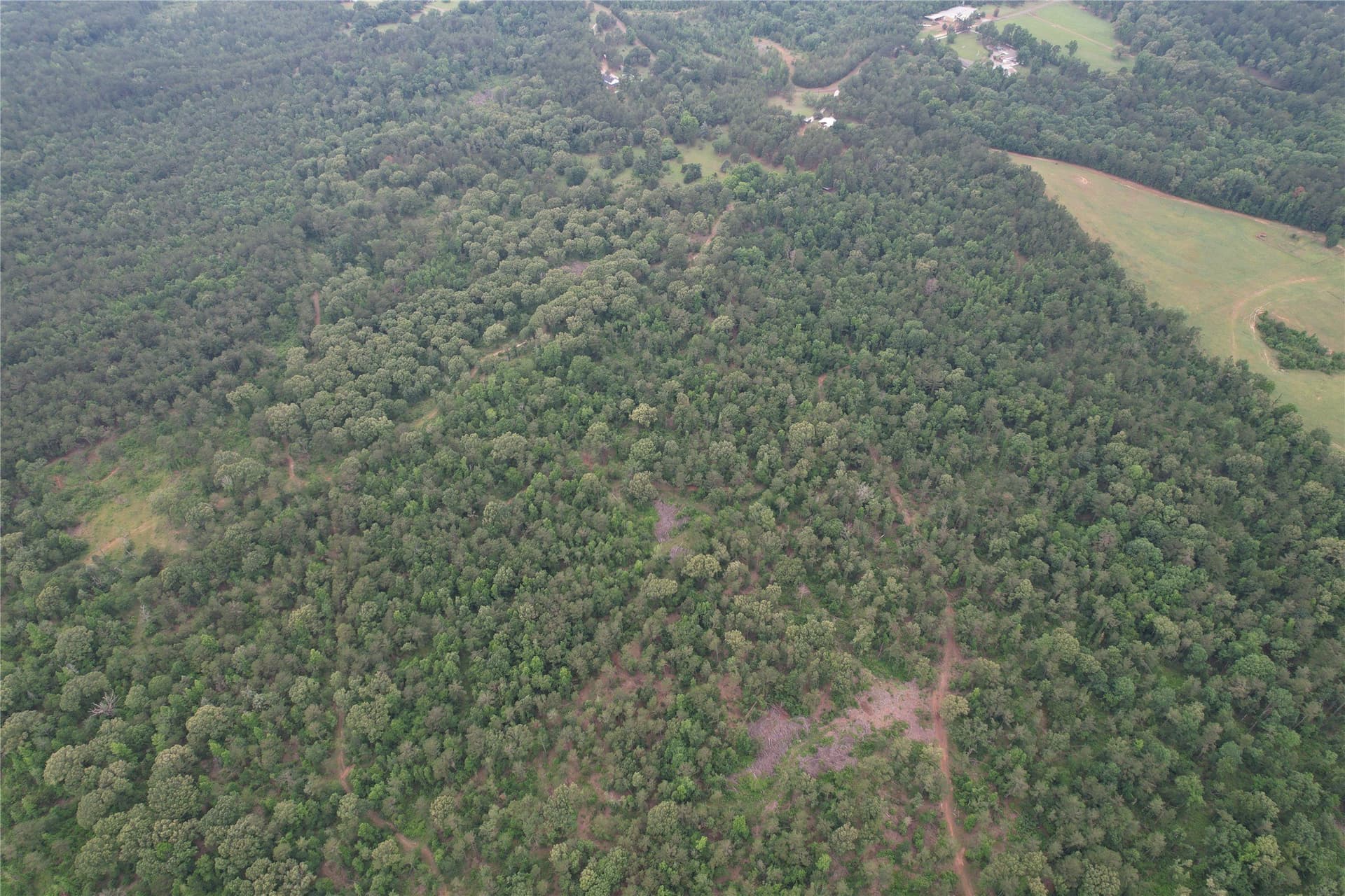 110.45 acres in Rusk County gallery image 4