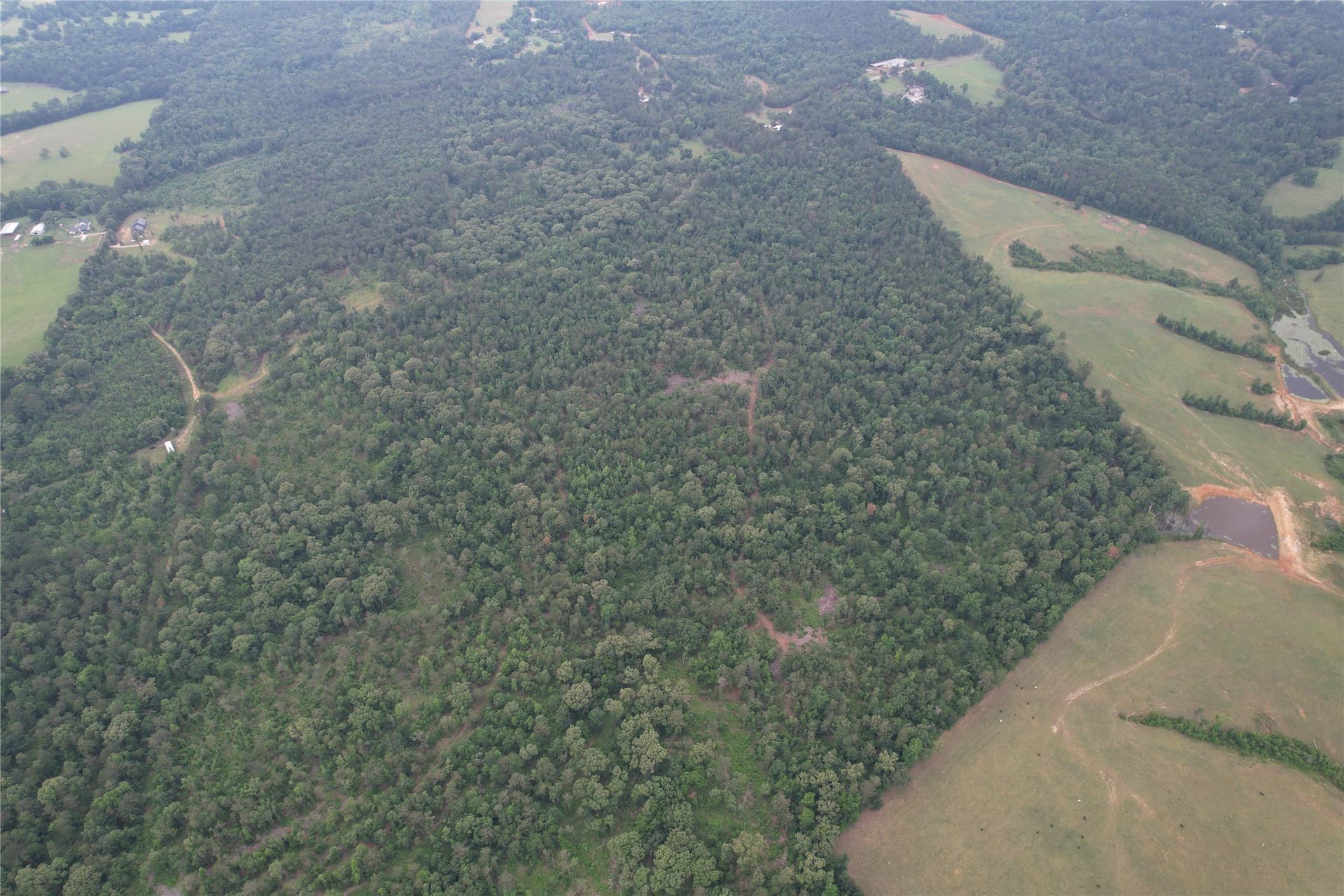 110.45 acres in Rusk County featured view
