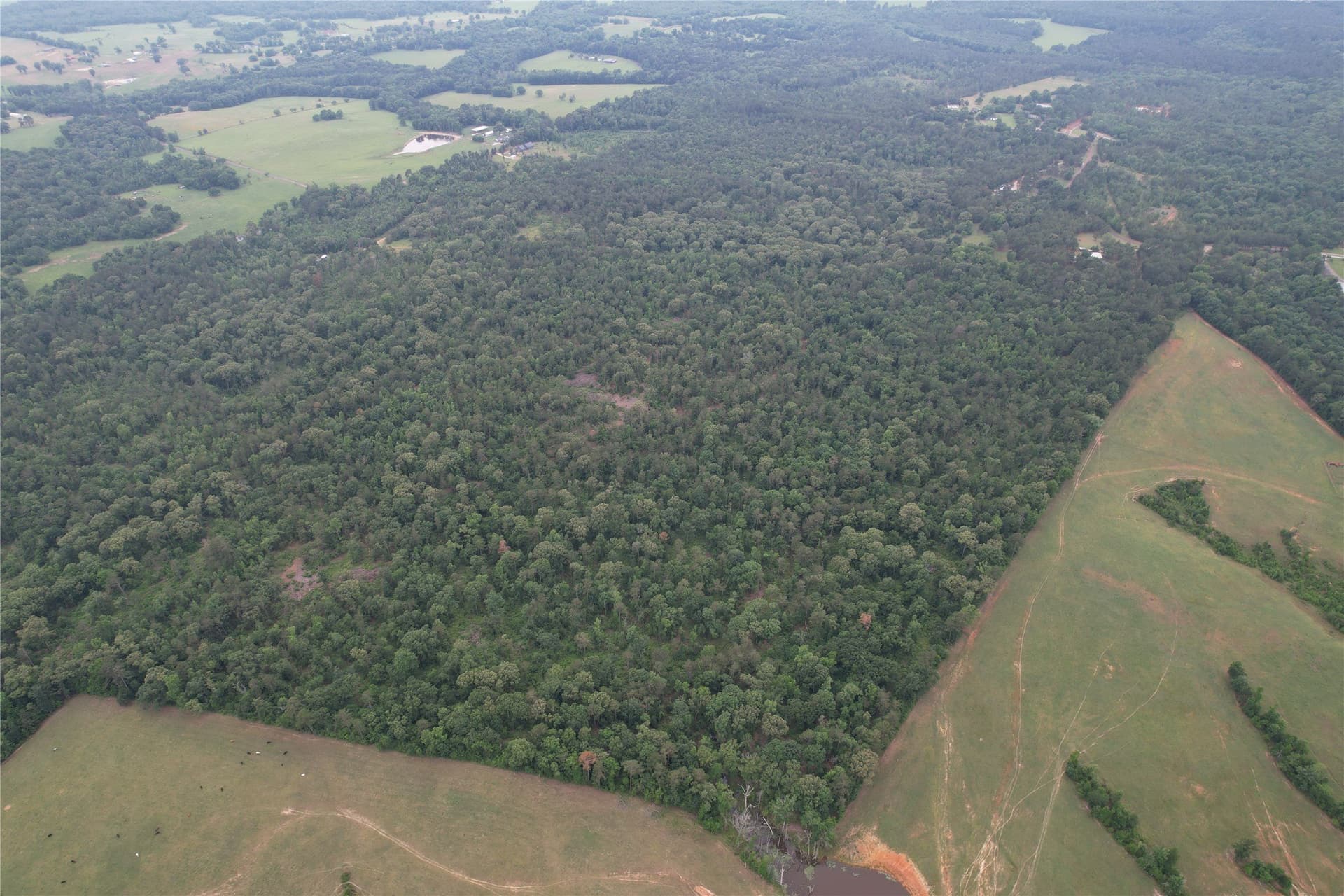 110.45 acres in Rusk County gallery image 2