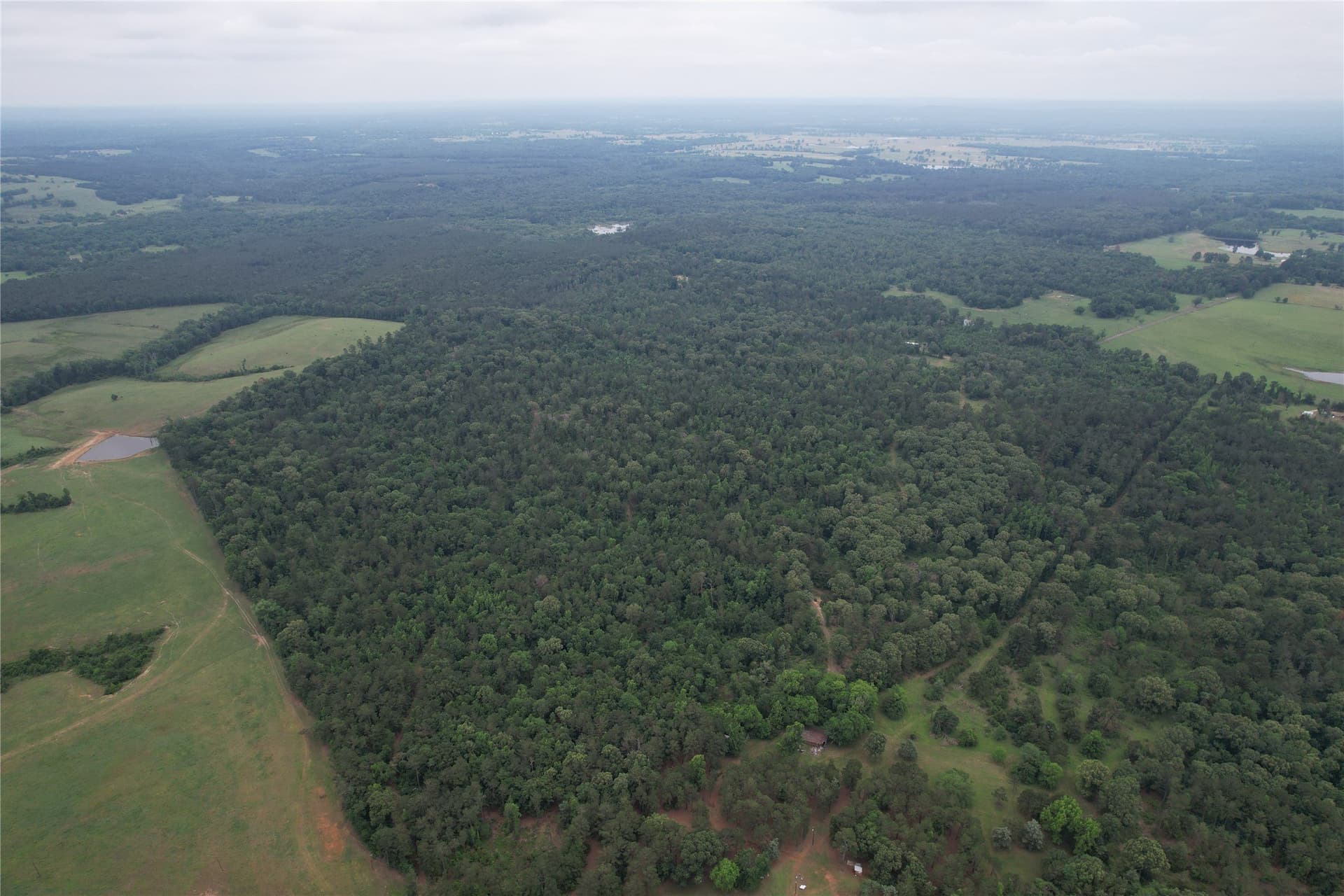 110.45 acres in Rusk County