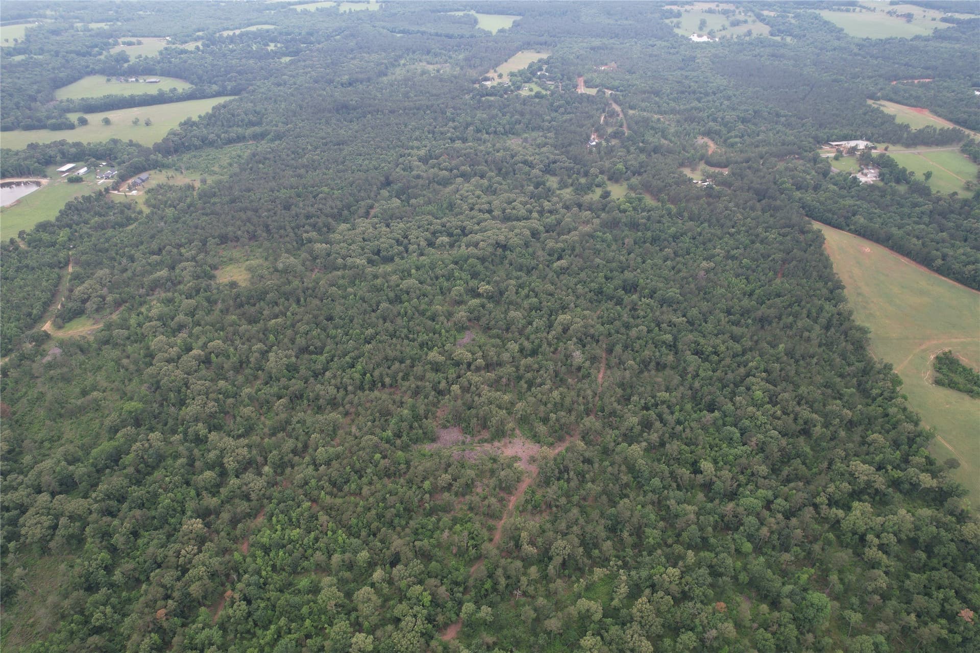 110.45 acres in Rusk County gallery image 3