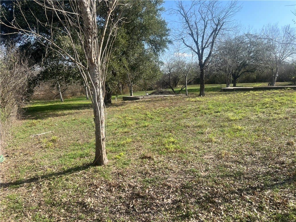 0.66 acres in San Patricio County - photo 16