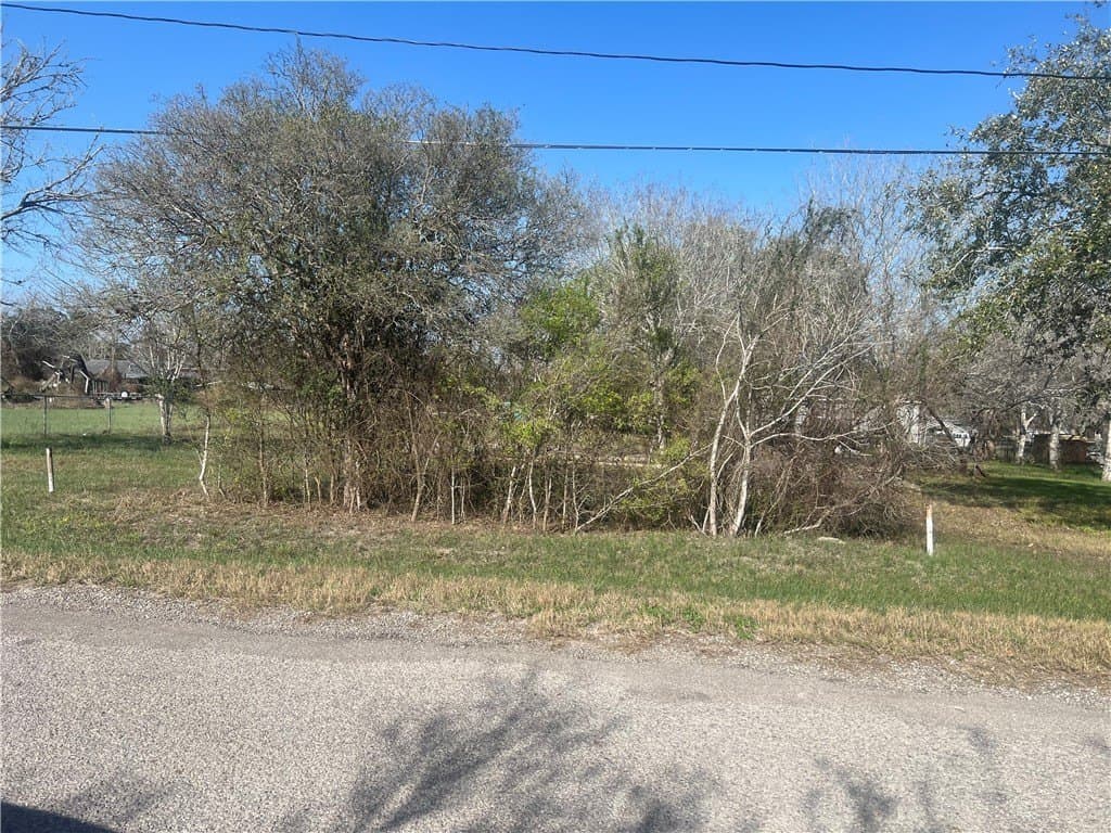 0.66 acres in San Patricio County - photo 6