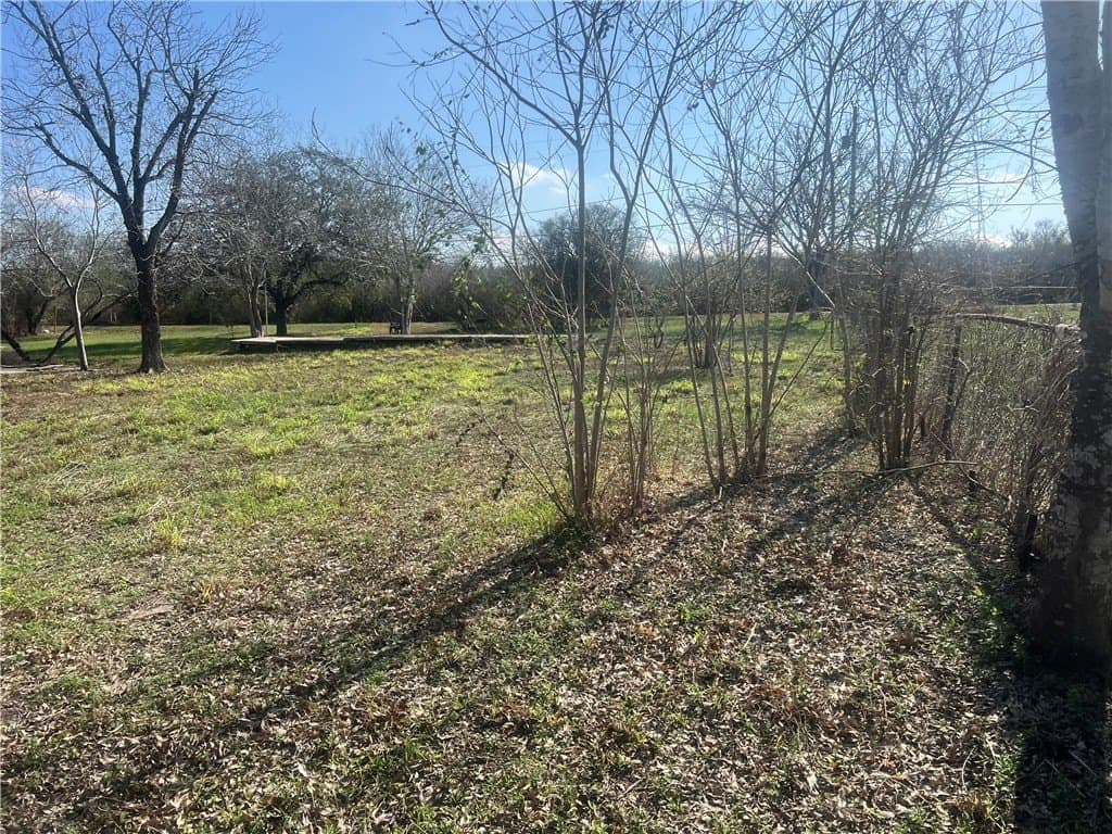 0.66 acres in San Patricio County - photo 17