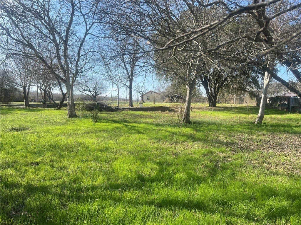 0.66 acres in San Patricio County - photo 8