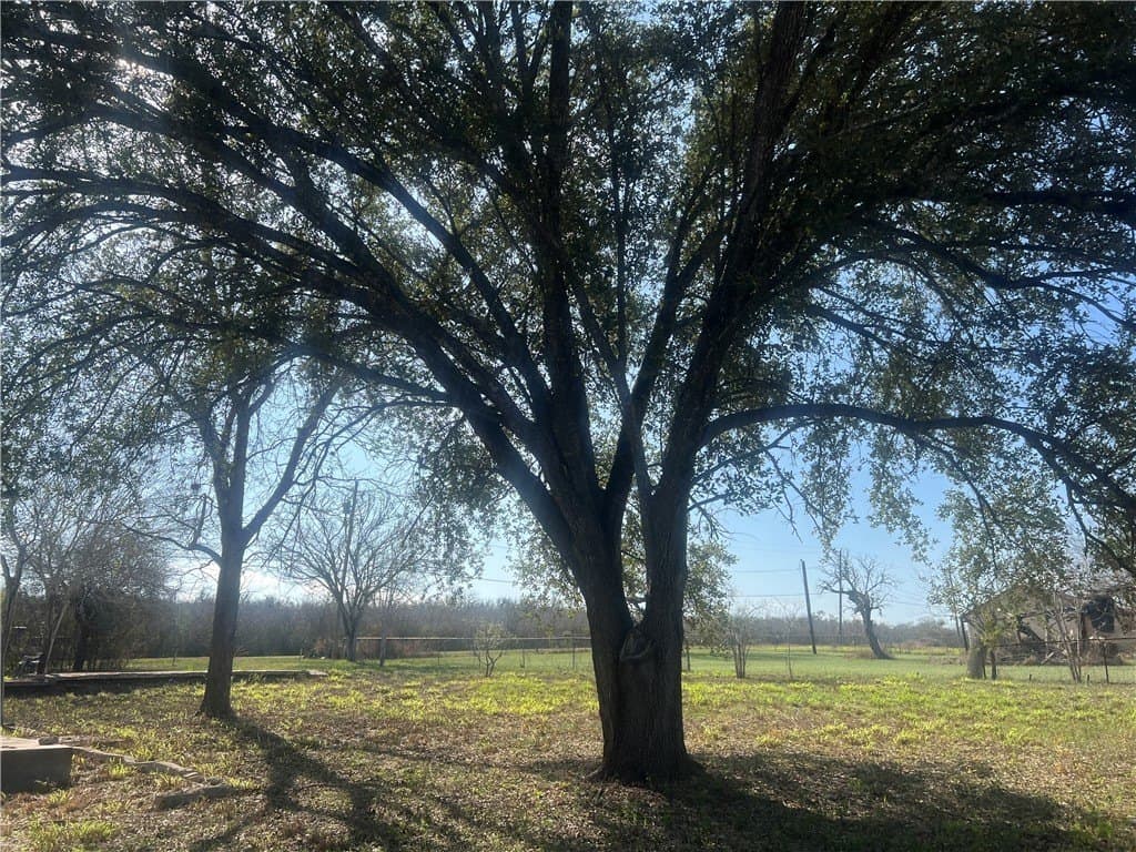 0.66 acres in San Patricio County - photo 15