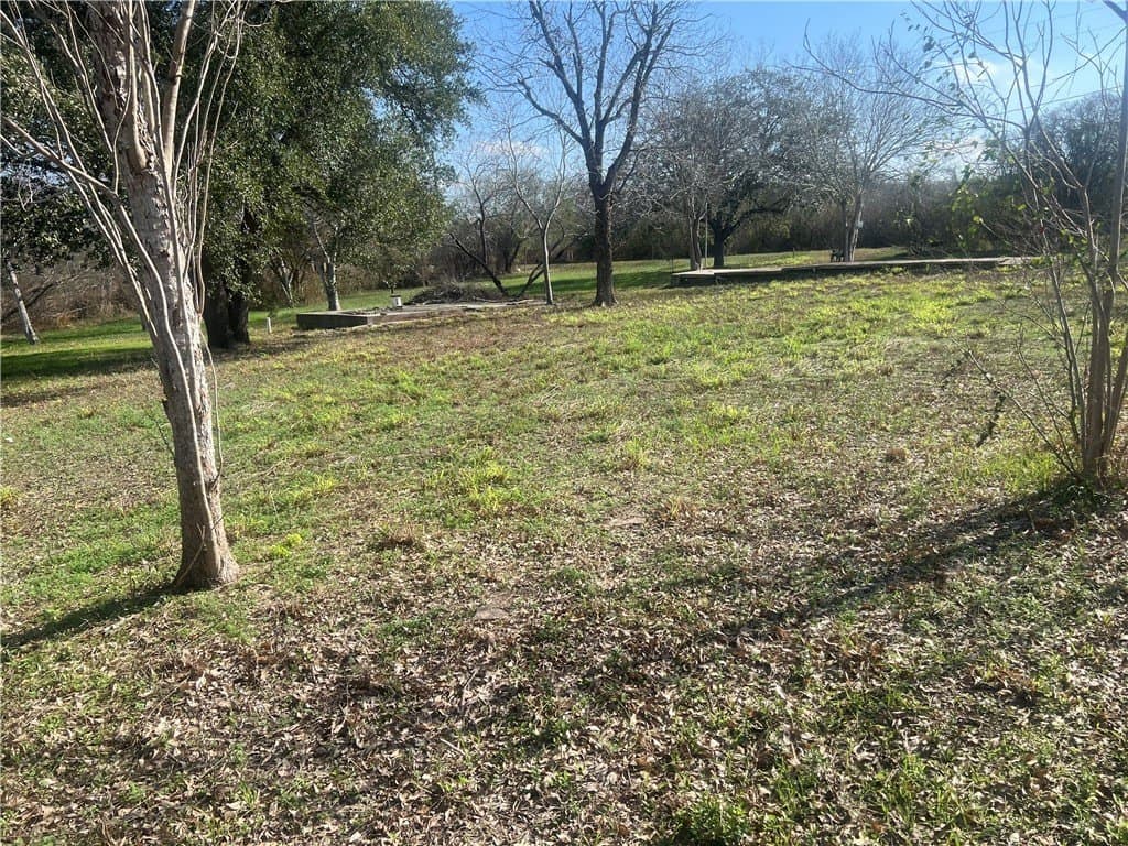 0.66 acres in San Patricio County - photo 18