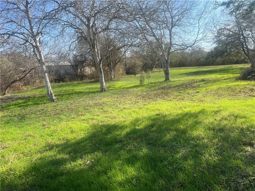 0.66 acres in San Patricio County - photo 13