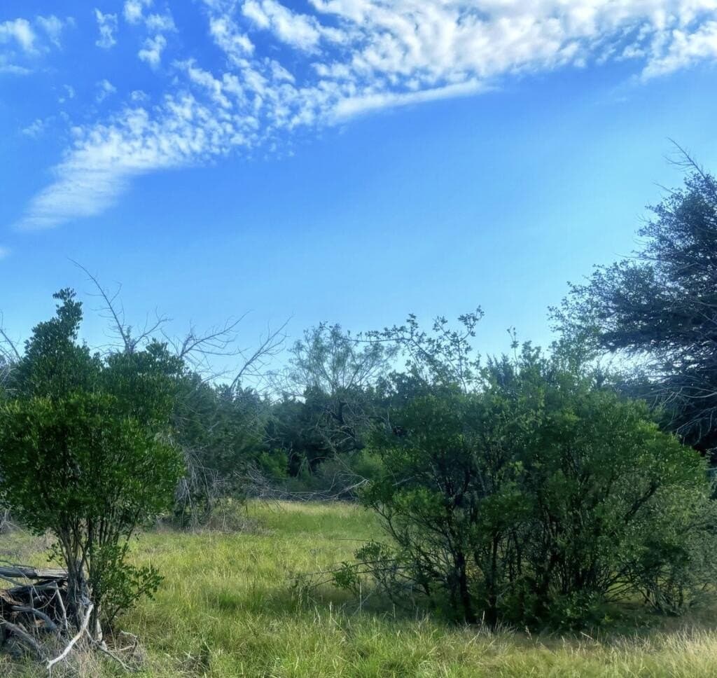 109.7 acres in Edwards County - photo 3